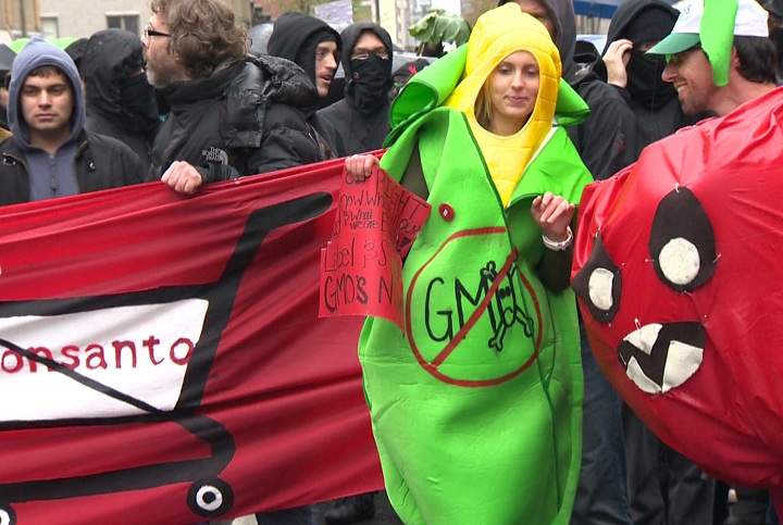 Montreal Monsanto rally