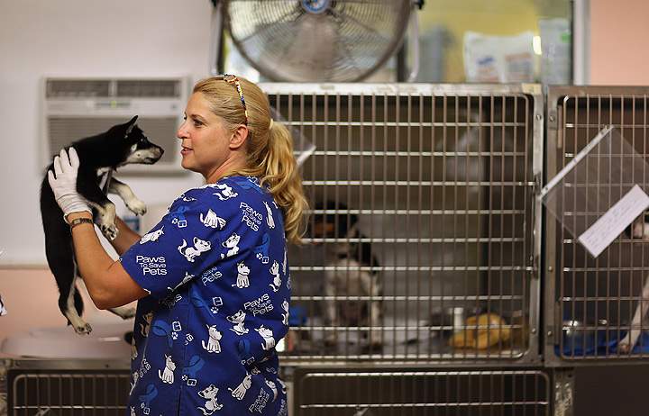 Gallery: Animals displaced from Oklahoma tornadoes rescued - image