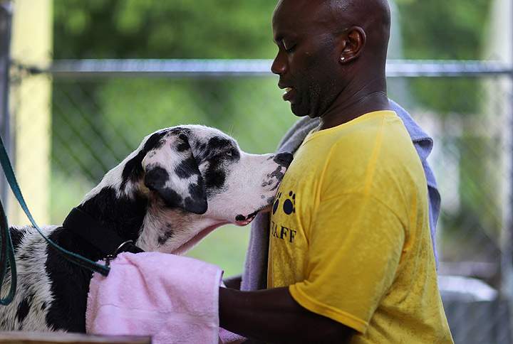 Gallery: Animals displaced from Oklahoma tornadoes rescued - image