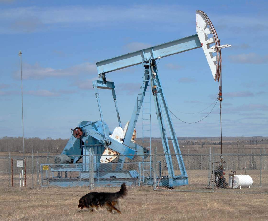 Pumpjack on a farm