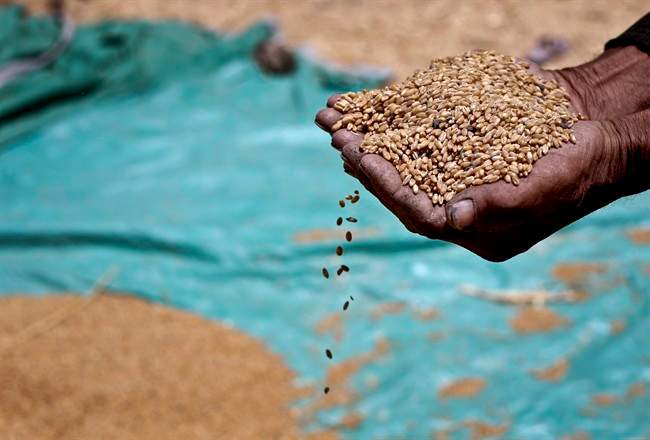 Eating and drinking on $1.75 a day is the Canadian equivalent of the extreme poverty line, an amount that 1.2 billion people around the world must live on daily for all their needs.
