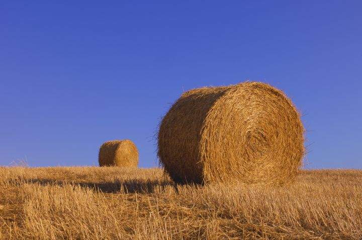 Agriculture expert Harry Siemens said it’s been a dry start to seeding in Manitoba.