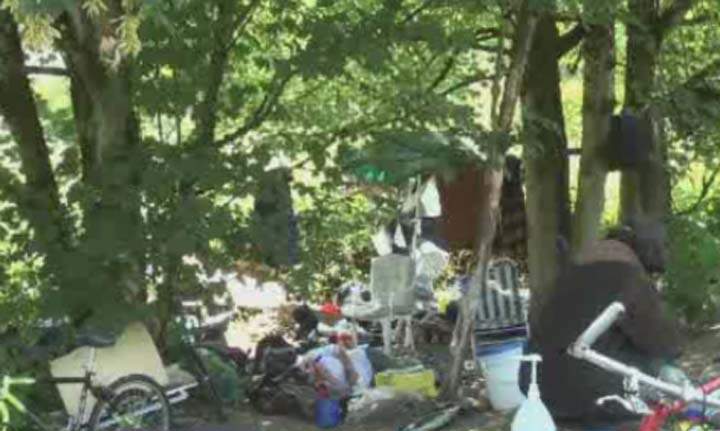 Homeless camp in Abbotsford.