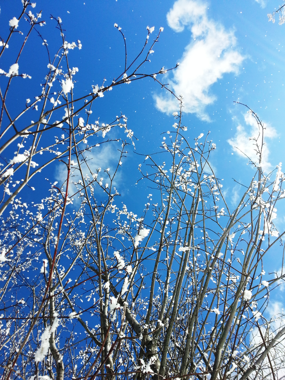 The low temperatures across southern Ontario set a record low in cities such as Hamilton and Windsor, but London was not cold enough to set a new one.