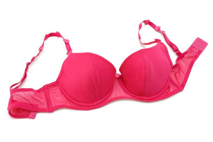 Court suggests Saskatchewan RCMP review forcible bra removal procedure.
