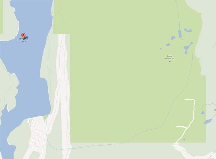 Missing hiker on Eagle Ridge rescued - image