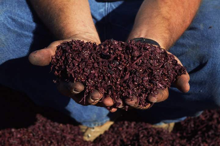 Composting on the rise in Canadian households