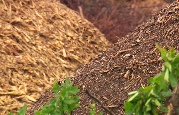 Compost is going up for sale to help alleviate levels at the city landfill in Saskatoon.