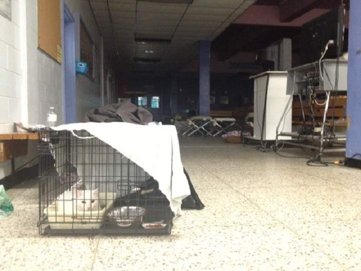 pet lac megantic