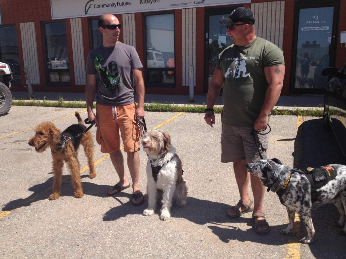 Manitoba dogs help veterans recover from PTSD - image