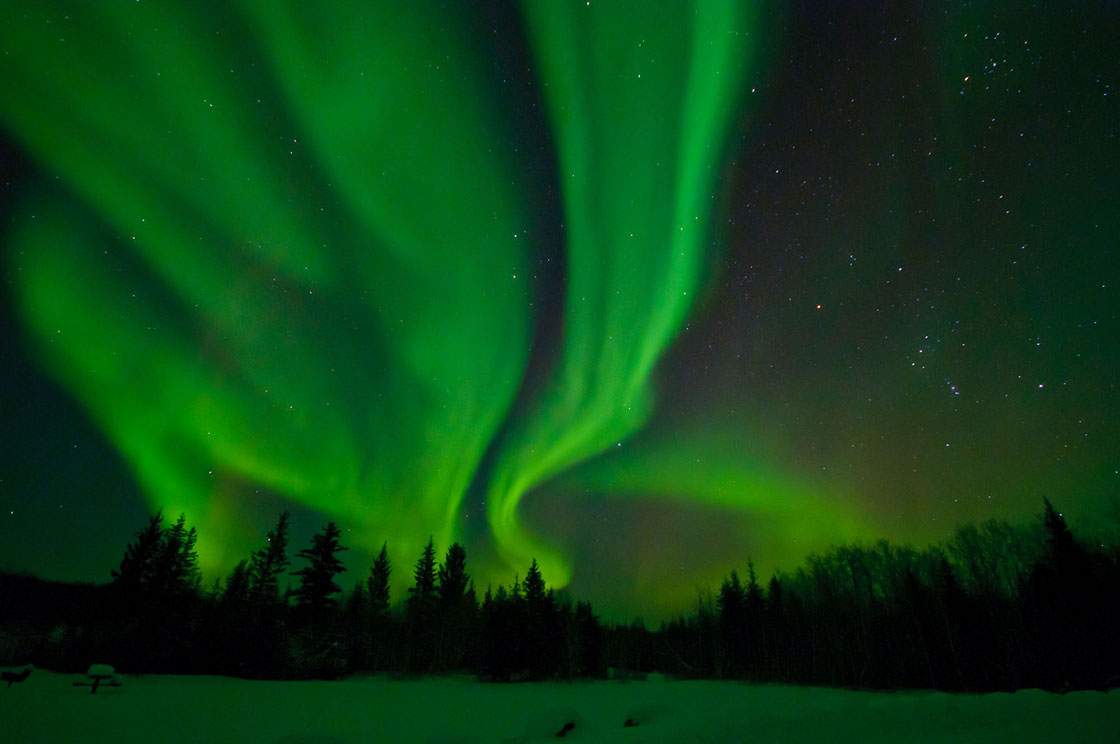The Northern Lights over Wood Buffalo National Park.