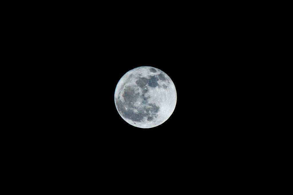 Canada could be sending its first astronaut to the moon under an ambitious long-term plan being developed by a group of space agencies around the world.