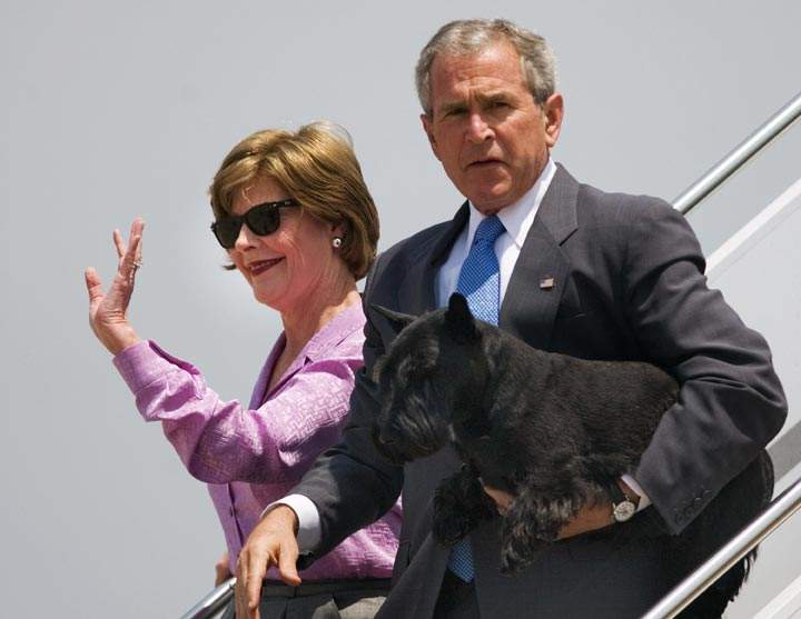 13 photos of U.S. presidential pets - image
