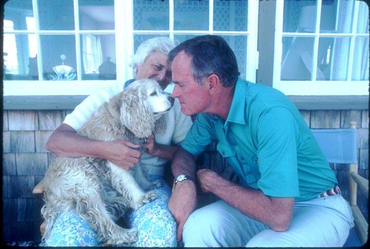 13 photos of U.S. presidential pets - image