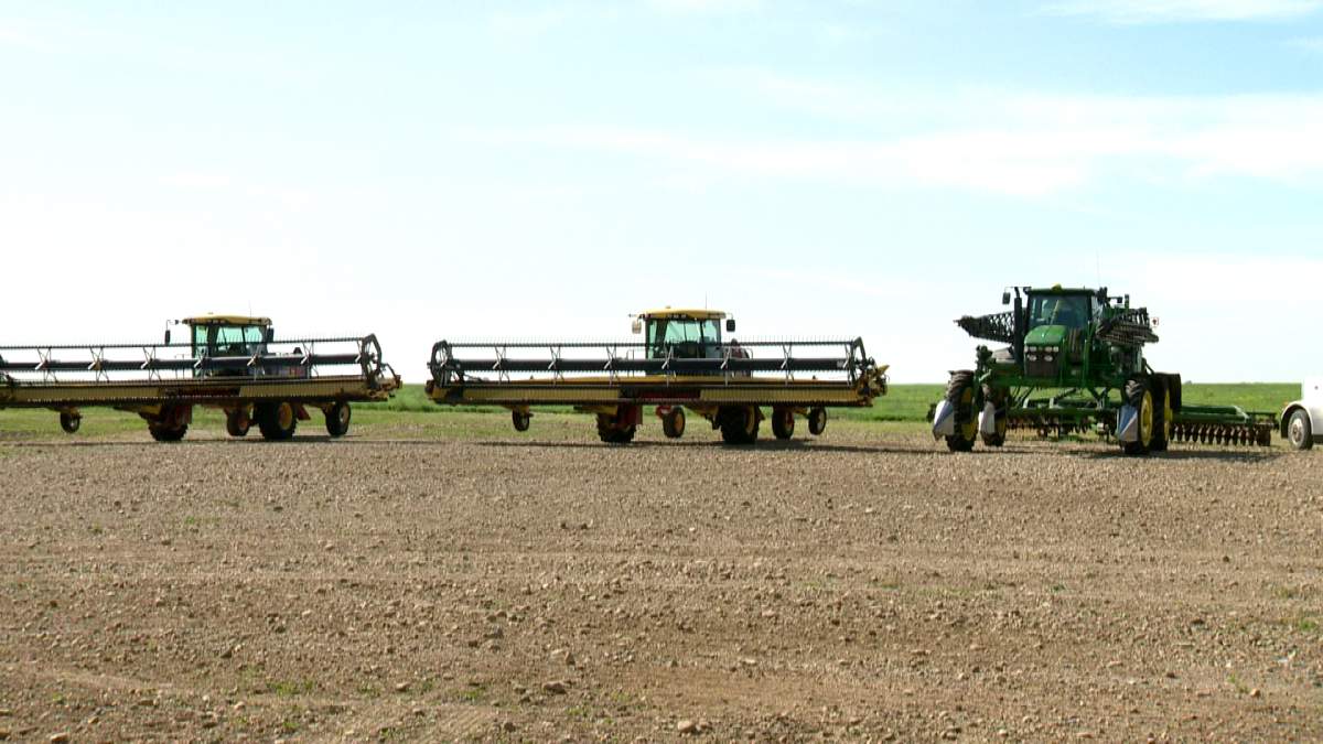 It’s been one year since the federal government eliminated the Canadian Wheat Board’s monopoly. The move has been met with mixed reviews. 