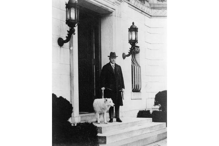 13 photos of U.S. presidential pets - image