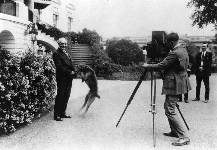 13 photos of U.S. presidential pets - image