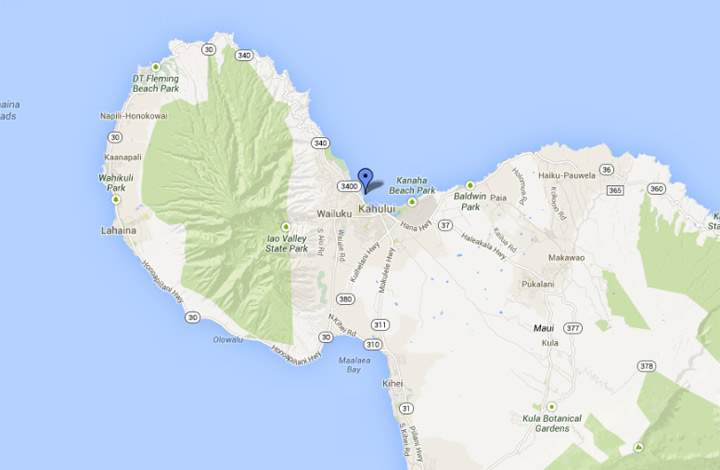 Maui County emergency responders said the woman's right arm was severed below her shoulder Wednesday as she snorkeled about 50 yards (meters) off shore.
