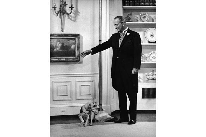 13 photos of U.S. presidential pets - image