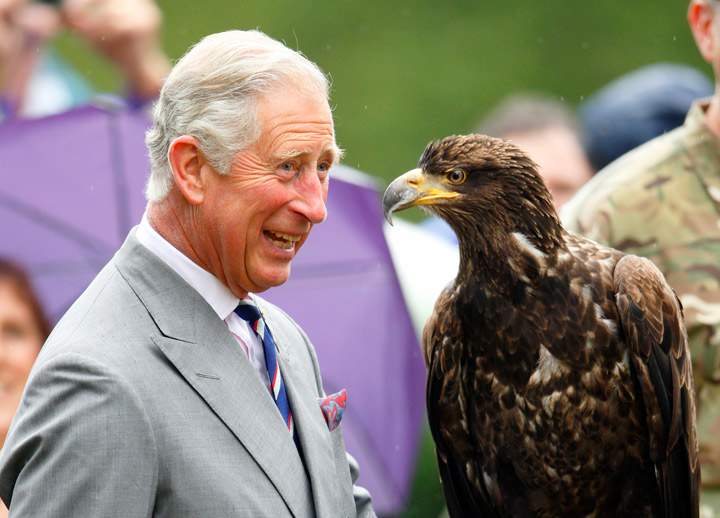 Prince Charles, Prince of Wales holds a Bald Eagle called Zephyr as he and Camilla, Duchess of Cornwall, visit the 132nd Sandringham Flower Show at Sandringham House on July 31, 2013 in King’s Lynn, England. (Photo credit: Getty Images)