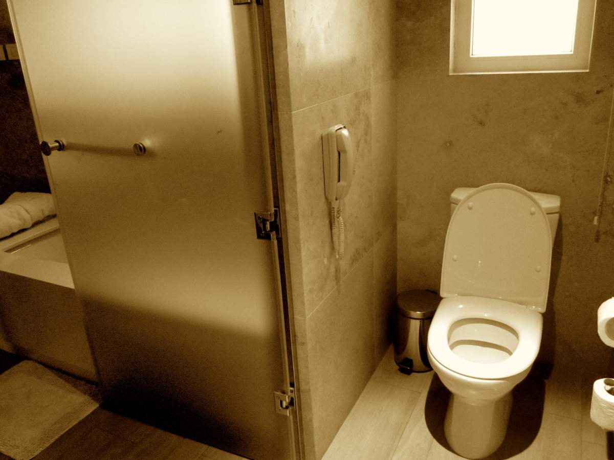 toilet