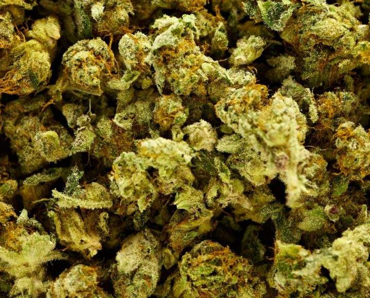 Lengthy investigation leads to drug bust on Saskatchewan First Nation.