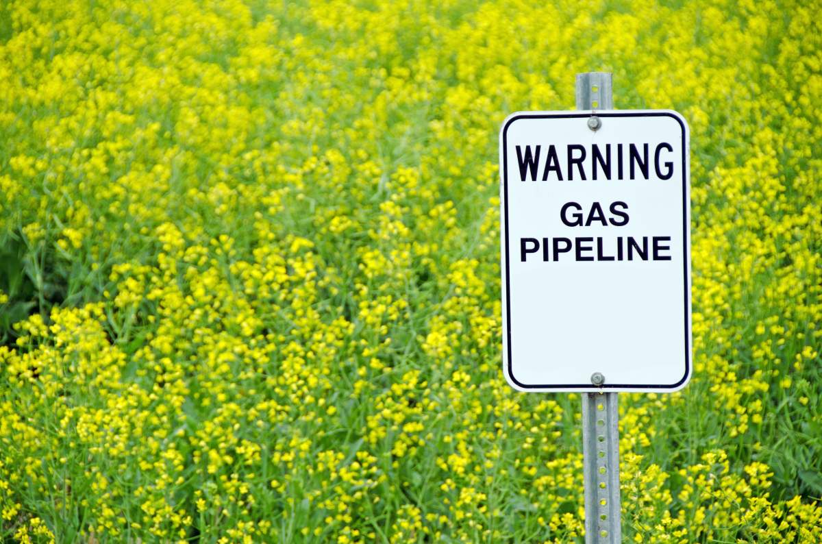 Alberta pipeline safety: Watching the watchers who watch pipeline-watchers - image