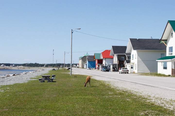 Anticosti Island