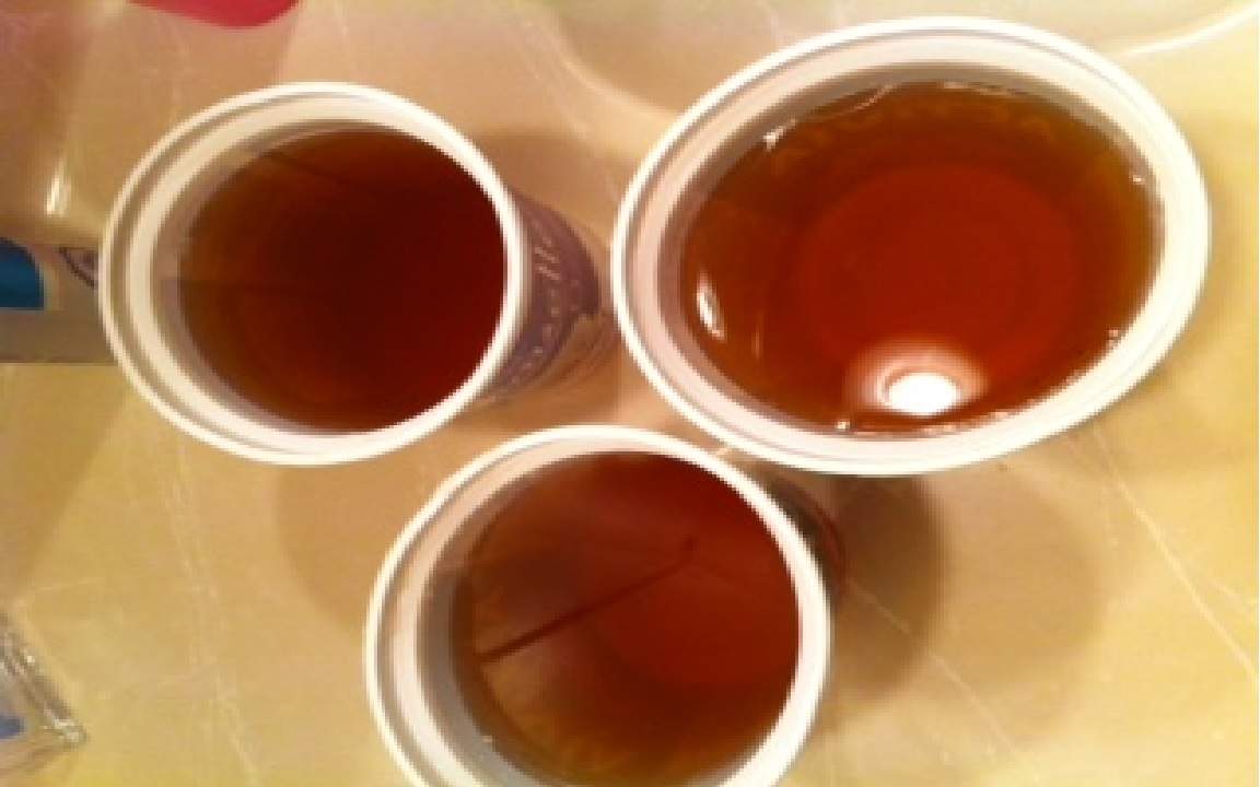 Winnipeg brown water