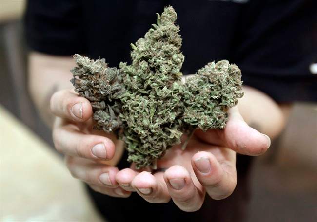 The Alberta government is making plans to launch its online cannabis retail outlet.