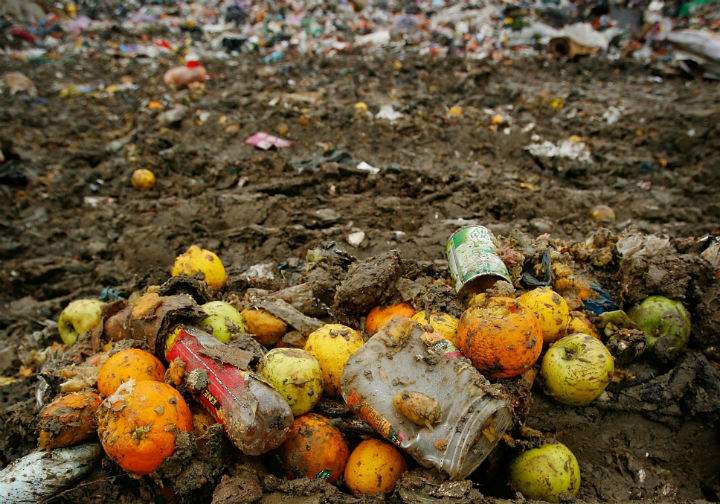 Households in the Forest City reported throwing away an average of 5.89 food portions in a week.