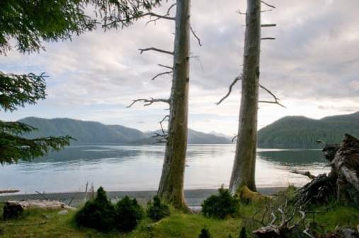Canada, BC, Queen Charlotte Islands, Gwaii Haanas National Park. View from beach on Cungga Island.