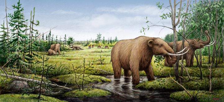 An artist’s rendition of mastodons, camels and a ground sloth before the environmental changes of the Younger Dryas led to their extinction. Credit: Barry Roal Carlsen, University of Wisconsin
