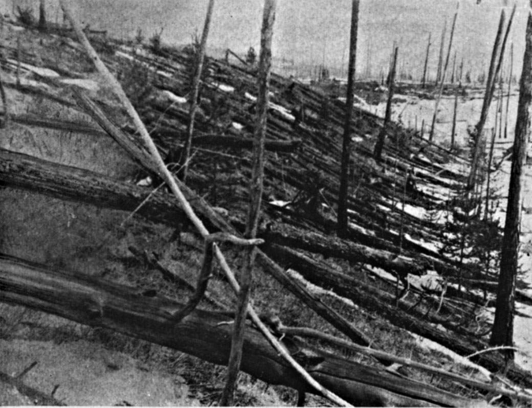 Trees are seen flattened following the 1908 explosion of a meteor over Tunguska, Russia.