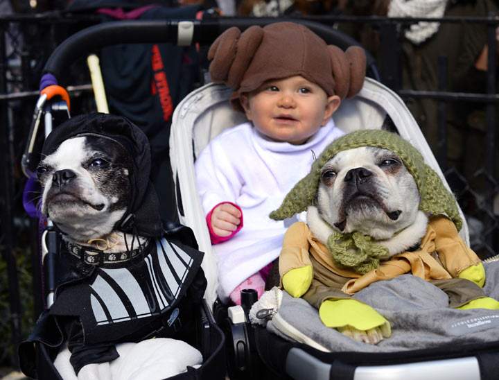 Don’t forget, babies are also fun to dress up. Check out this little Star Wars family. (Photo credit: TIMOTHY CLARY/AFP/Getty Images)