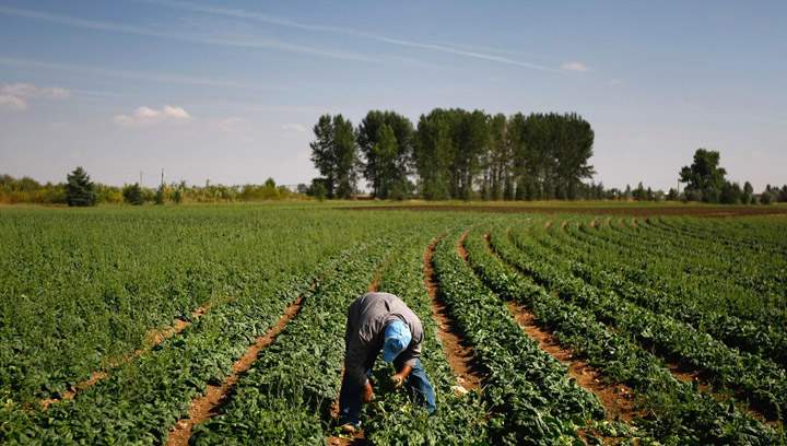 The Harper government announces reforms to the controversial temporary foreign worker program on Friday.