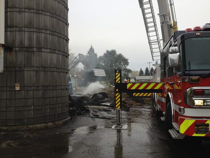 Over 100 cows were saved from death by fire on McGill Campus.