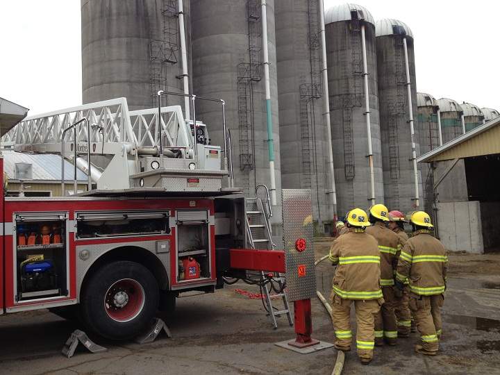 Over 100 cows were saved from death by fire on McGill Campus.