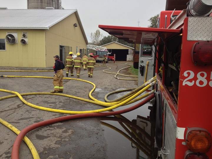 Over 100 cows were saved from death by fire on McGill Campus.