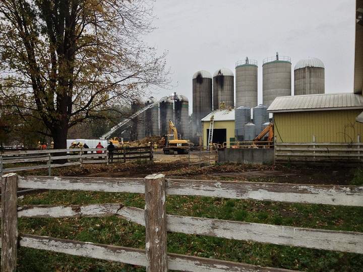 Over 100 cows were saved from death by fire on McGill Campus.