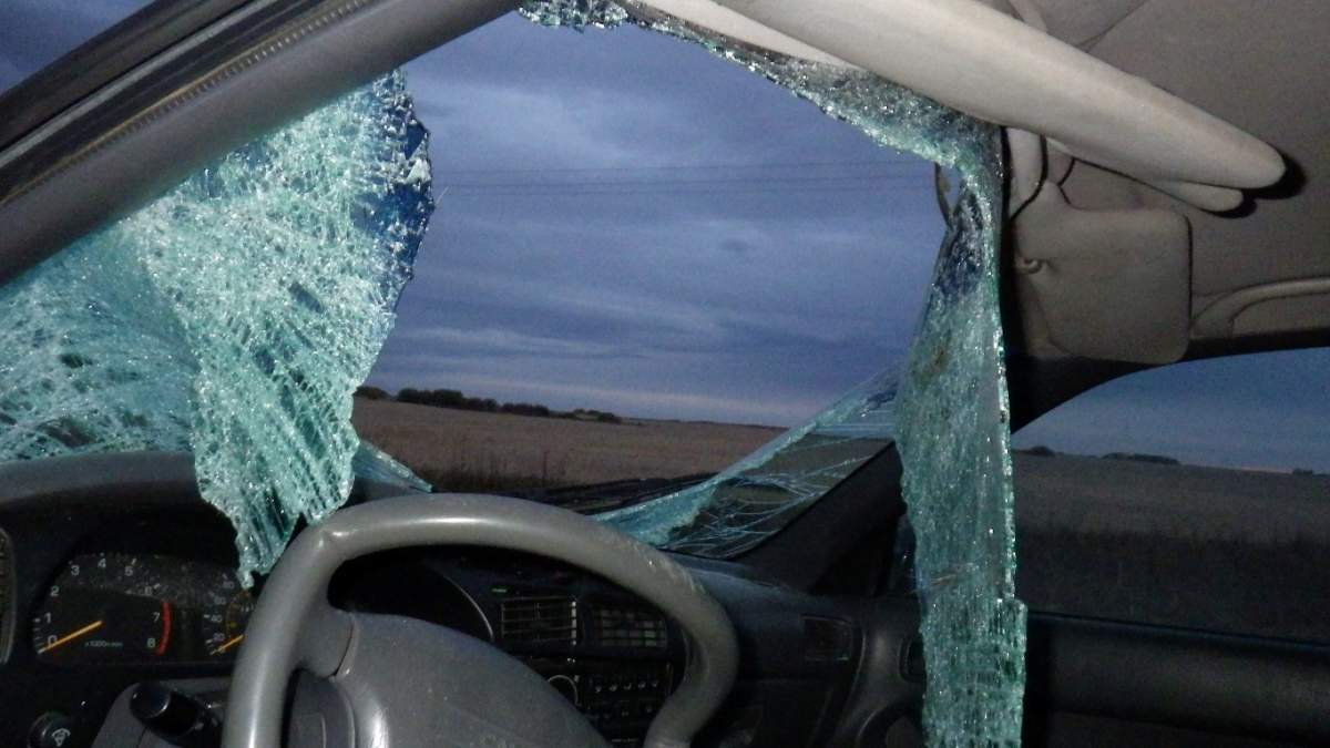 RCMP were called to Highway #48 near Davin, SK where a Toyota Camry collided with a moose.