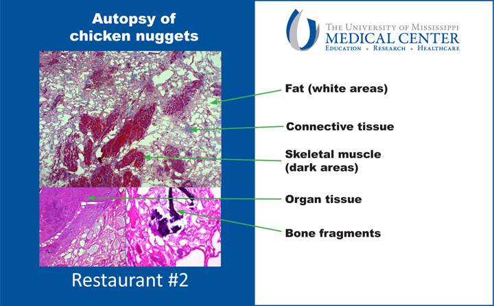 What’s in a chicken nugget? American scientist suggests only 50 per cent meat - image