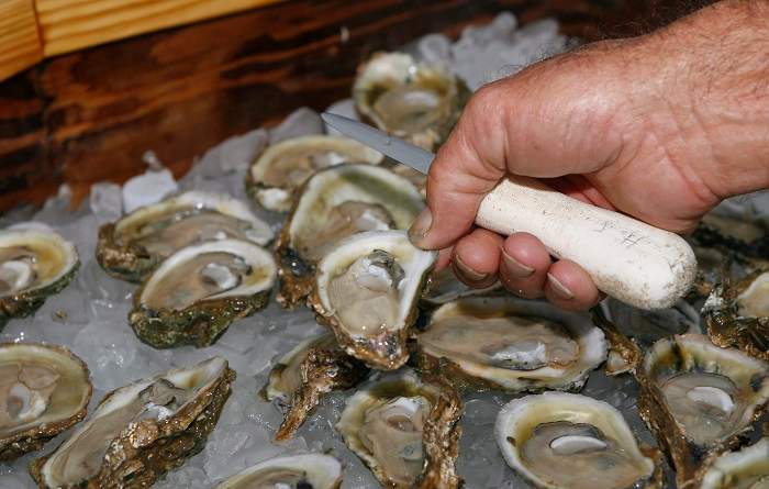 Oysters harvested from B.C. coastal waters on or before Aug. 18, and intended for raw consumption, have been recalled by Health Canada.
