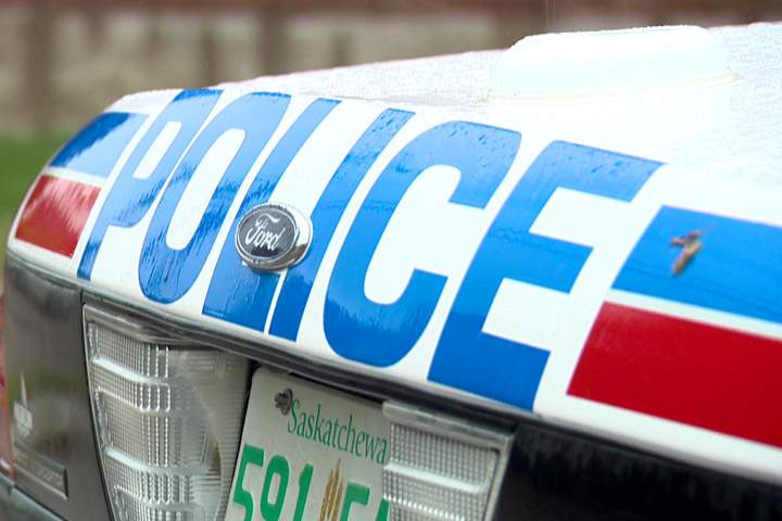 Traffic restricted as emergency crews deal with two moose in Saskatoon.