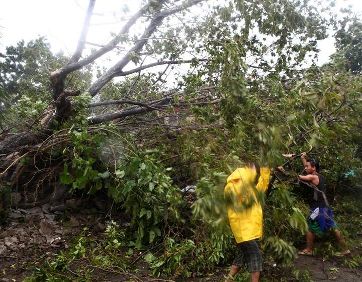 Residents clear a road after trees were toppled by strong winds at the onslaught of powerful typhoon Haiyan that hit the island province of Cebu, Philippines. (AP Photo/Chester Baldicantos)