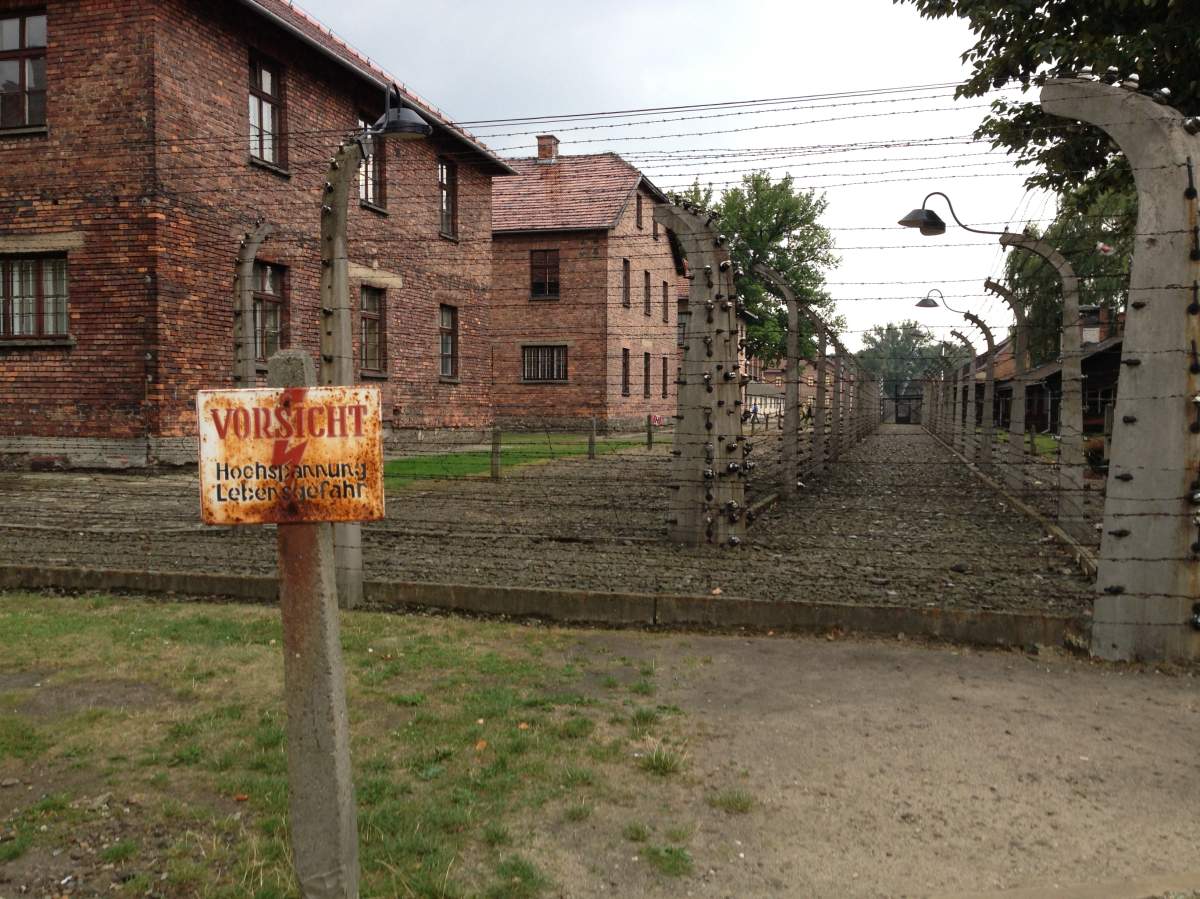 Remembering sacrifice and loss while walking through Auschwitz - image
