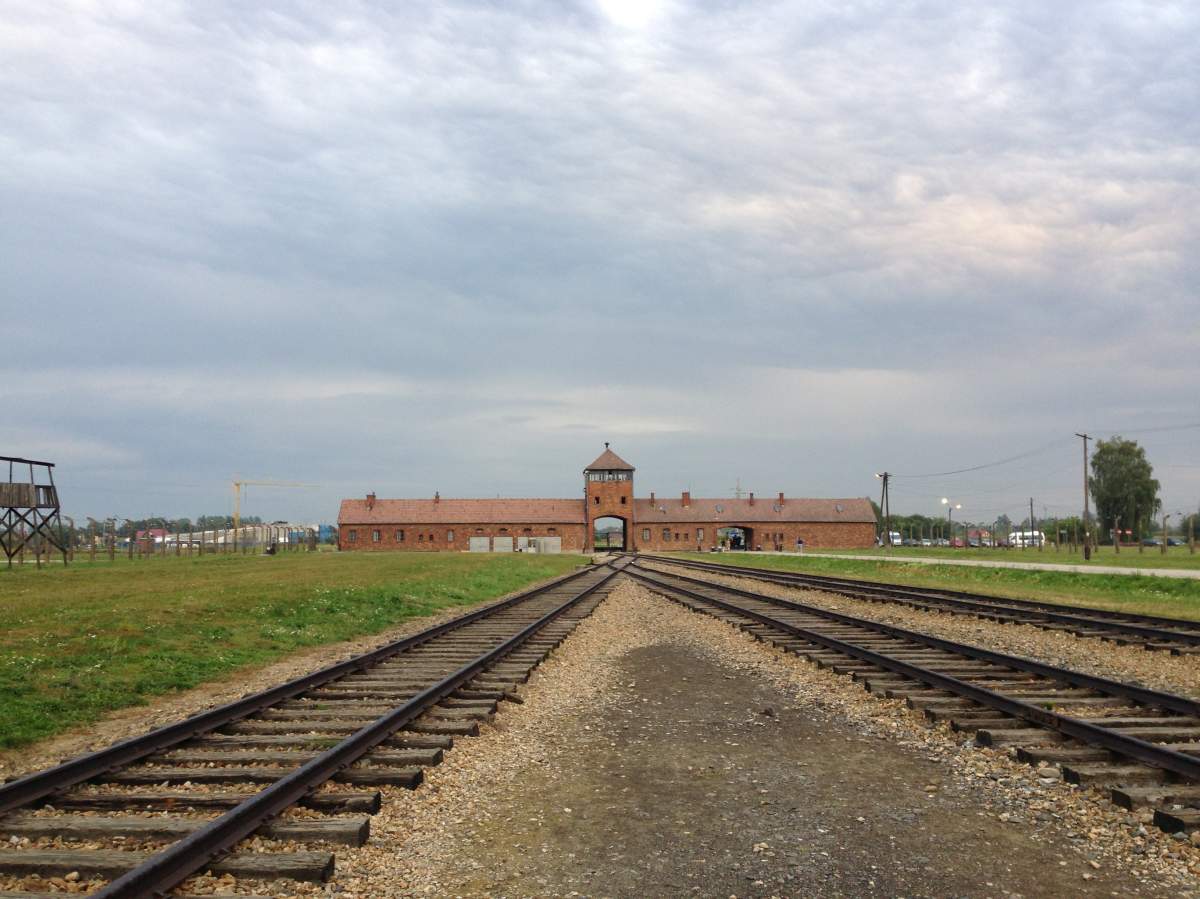 Remembering sacrifice and loss while walking through Auschwitz - image