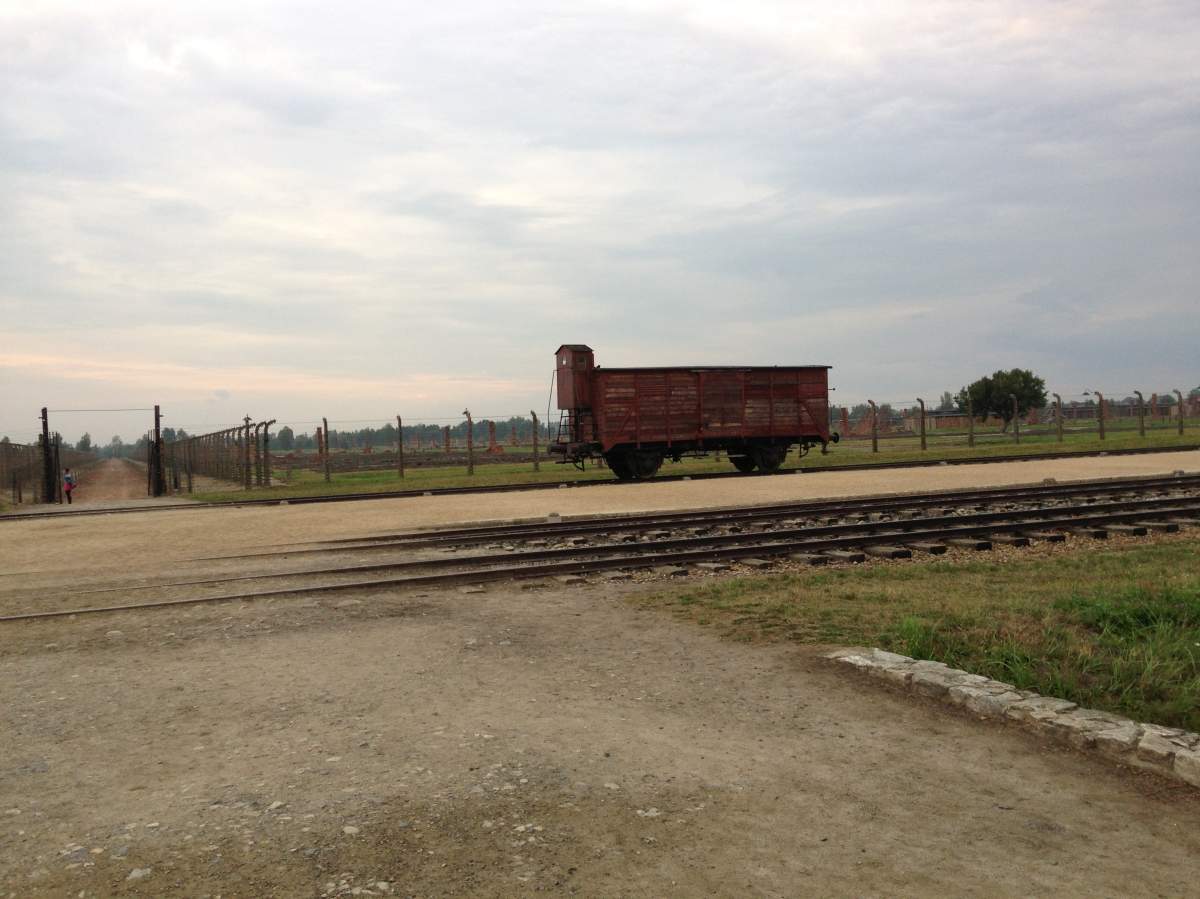 Remembering sacrifice and loss while walking through Auschwitz - image
