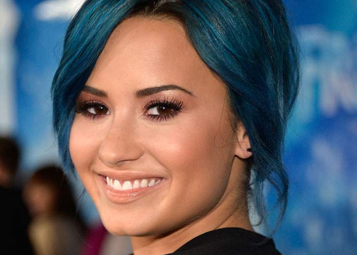 Demi Lovato, pictured in November 2013.