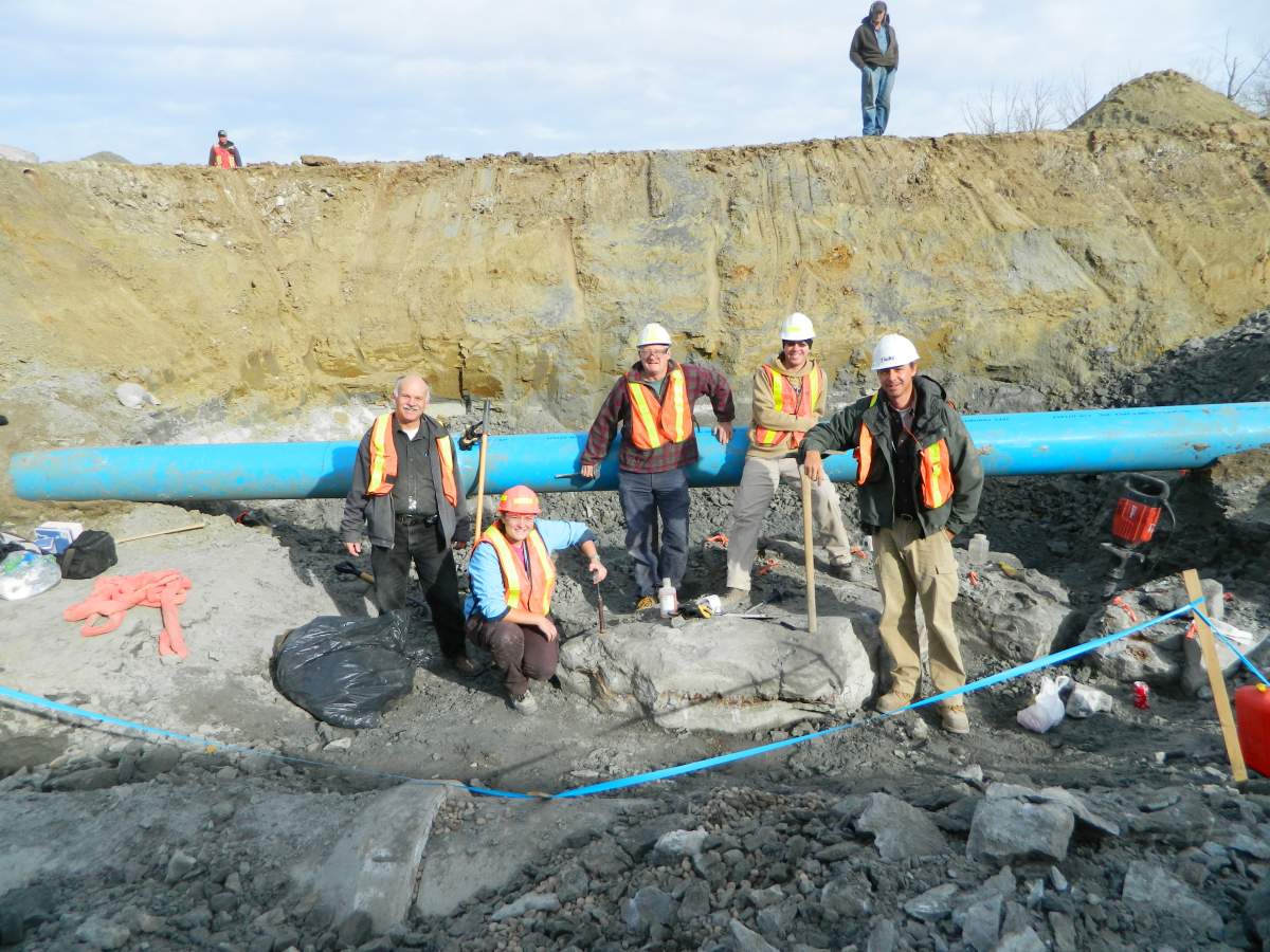 Construction crew discovers dinosaur fossil in Leduc - image